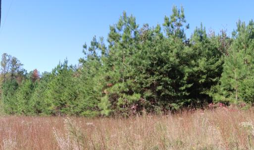 Photo #2 of 15 Farmville Road, Meherrin, VA 4.4 acres