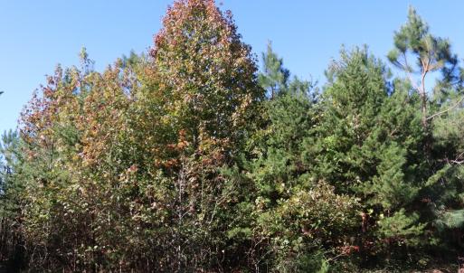 Photo #6 of 15 Farmville Road, Meherrin, VA 6.7 acres