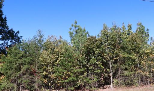 Photo #7 of 15 Farmville Road, Meherrin, VA 6.7 acres