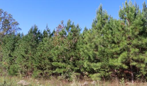 Photo #6 of 15 Farmville Road, Meherrin, VA 7.5 acres