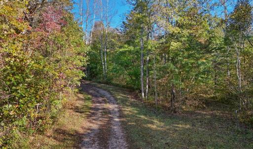Photo #10 of Allen Rosen Rd, Dillwyn, VA 38.8 acres