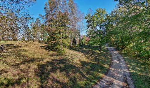 Photo #8 of Allen Rosen Rd, Dillwyn, VA 38.8 acres