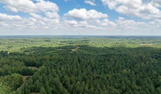 Photo #3 of Gully Tavern Lane, Rice, VA 30.0 acres