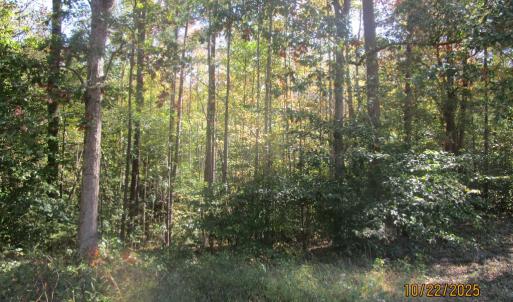 Photo #3 of 709 Pleasant Oak, Victoria, VA 38.8 acres
