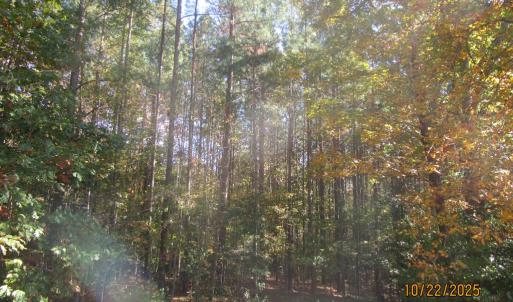 Photo #6 of 709 Pleasant Oak, Victoria, VA 38.8 acres