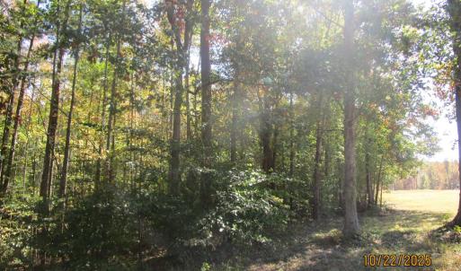 Photo #2 of 709 Pleasant Oak, Victoria, VA 38.8 acres