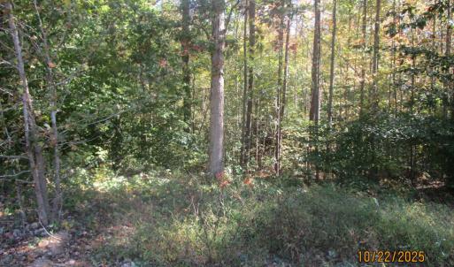 Photo #4 of 709 Pleasant Oak, Victoria, VA 38.8 acres