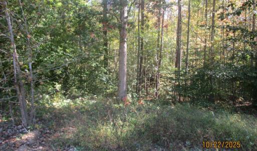 Photo #4 of 709 Pleasant Oak, Victoria, VA 38.8 acres