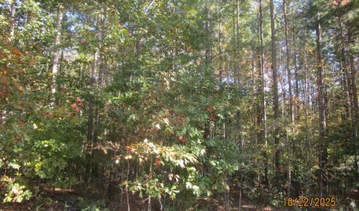 Photo #5 of 709 Pleasant Oak, Victoria, VA 38.8 acres