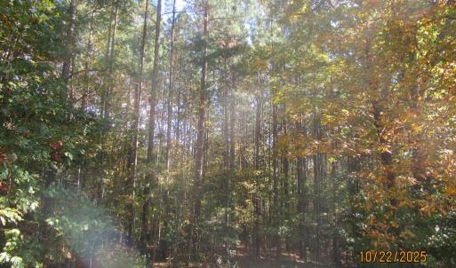 Photo #6 of 709 Pleasant Oak, Victoria, VA 38.8 acres