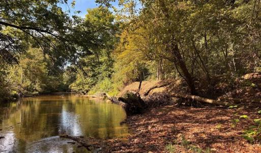 Photo #10 of Coleman Mountain Road, Appomattox, VA 112.8 acres