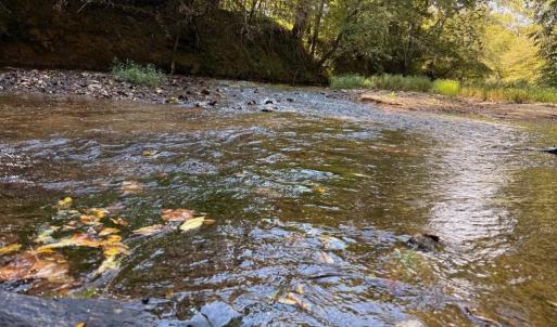 Photo #11 of Coleman Mountain Road, Appomattox, VA 112.8 acres