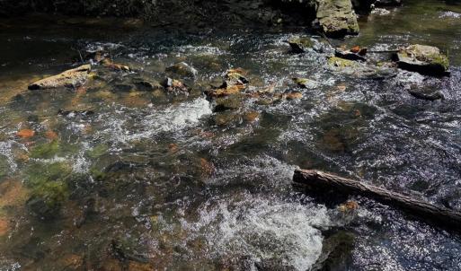 Photo #14 of Coleman Mountain Road, Appomattox, VA 112.8 acres