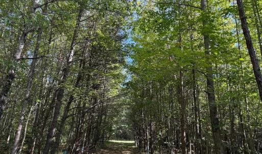 Photo #15 of Coleman Mountain Road, Appomattox, VA 112.8 acres