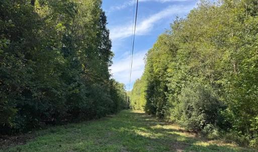 Photo #16 of Coleman Mountain Road, Appomattox, VA 112.8 acres