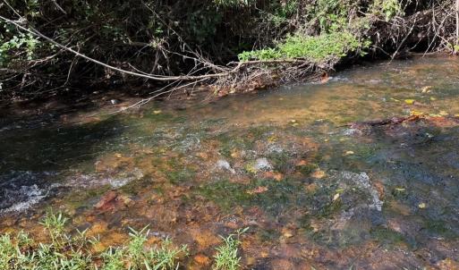 Photo #2 of Coleman Mountain Road, Appomattox, VA 112.8 acres