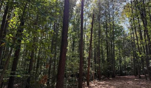 Photo #3 of Coleman Mountain Road, Appomattox, VA 112.8 acres