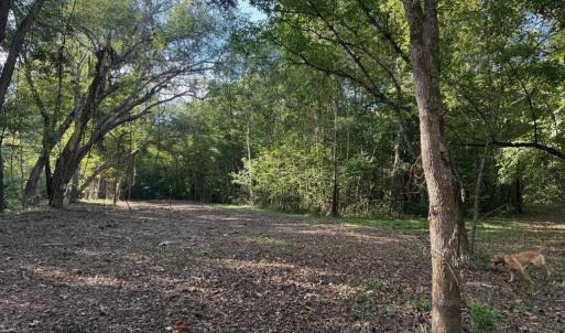 Photo #4 of Coleman Mountain Road, Appomattox, VA 112.8 acres