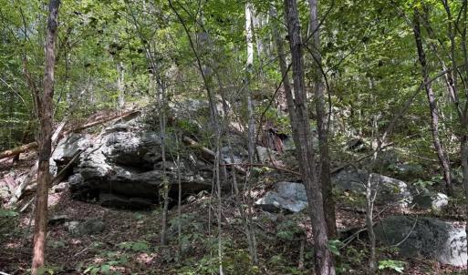 Photo #6 of Coleman Mountain Road, Appomattox, VA 112.8 acres