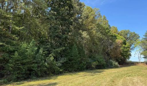 Photo #8 of Coleman Mountain Road, Appomattox, VA 112.8 acres