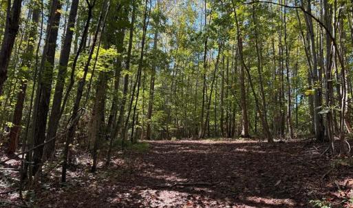 Photo #9 of Coleman Mountain Road, Appomattox, VA 112.8 acres
