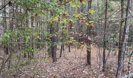 Photo #12 of Rehoboth Road, Victoria, VA 18.2 acres