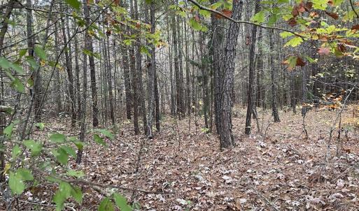 Photo #13 of Rehoboth Road, Victoria, VA 18.2 acres