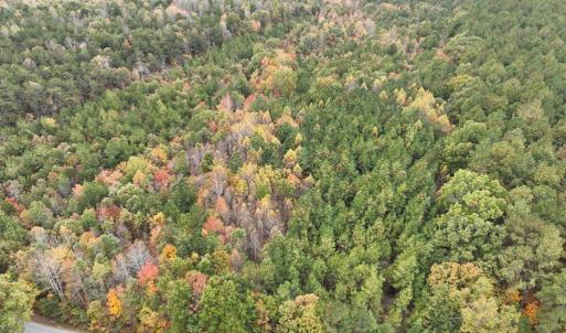 Photo #2 of Rehoboth Road, Victoria, VA 18.2 acres