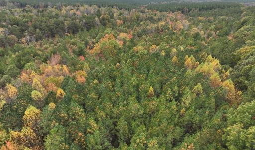 Photo #3 of Rehoboth Road, Victoria, VA 18.2 acres