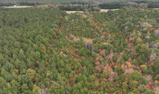 Photo #4 of Rehoboth Road, Victoria, VA 18.2 acres