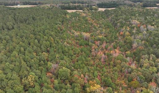 Photo #5 of Rehoboth Road, Victoria, VA 18.2 acres