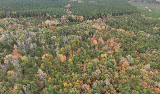 Photo #6 of Rehoboth Road, Victoria, VA 18.2 acres