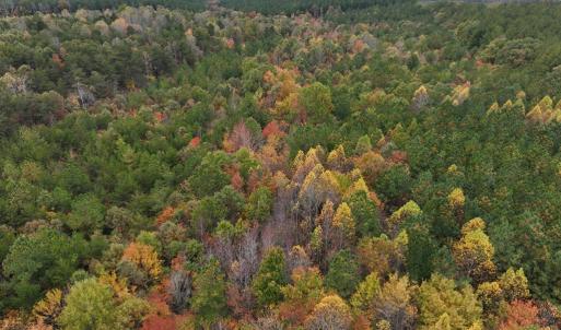 Photo #7 of Rehoboth Road, Victoria, VA 18.2 acres