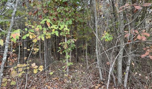 Photo #9 of Rehoboth Road, Victoria, VA 18.2 acres