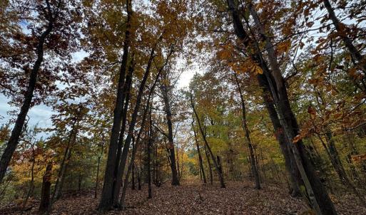 Photo #11 of Chase Trail Lane, Gladstone, VA 23.8 acres