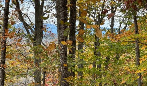 Photo #3 of Chase Trail Lane, Gladstone, VA 23.8 acres