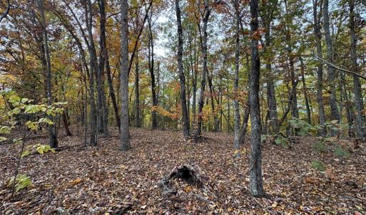 Photo #7 of Chase Trail Lane, Gladstone, VA 23.8 acres