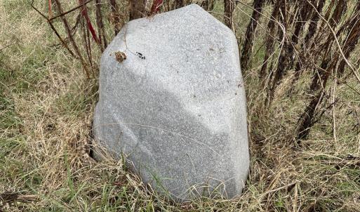 Photo #10 of 249 Union Chapel Road, Buffalo Junction, VA 47.8 acres