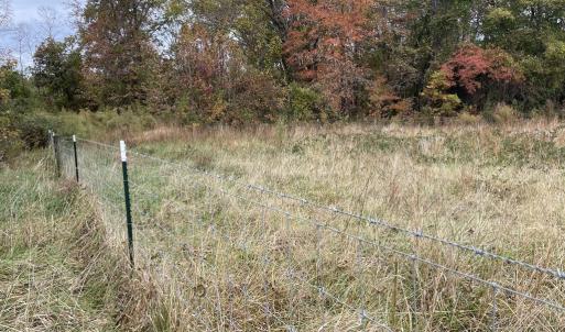 Photo #11 of 249 Union Chapel Road, Buffalo Junction, VA 47.8 acres