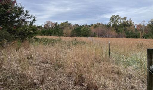 Photo #13 of 249 Union Chapel Road, Buffalo Junction, VA 47.8 acres