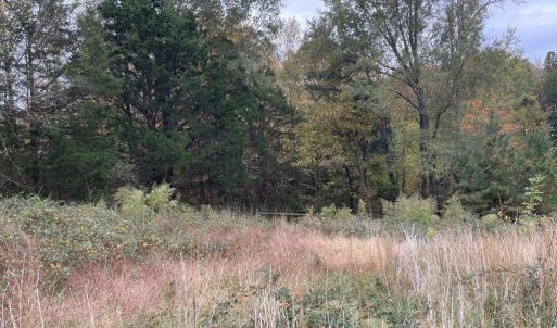Photo #14 of 249 Union Chapel Road, Buffalo Junction, VA 47.8 acres