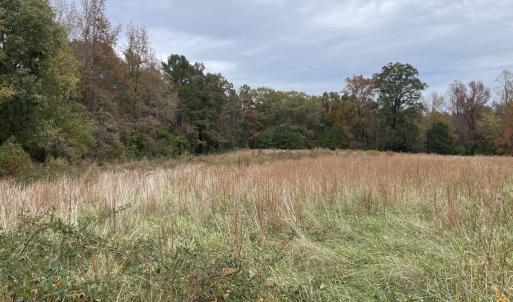 Photo #16 of 249 Union Chapel Road, Buffalo Junction, VA 47.8 acres