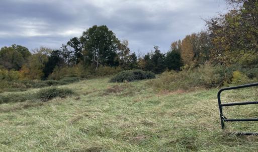 Photo #17 of 249 Union Chapel Road, Buffalo Junction, VA 47.8 acres