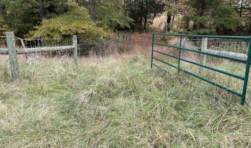 Photo #19 of 249 Union Chapel Road, Buffalo Junction, VA 47.8 acres