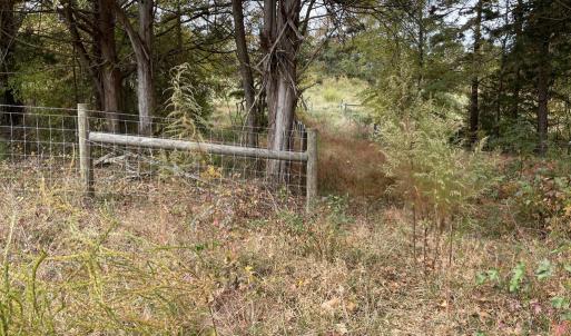 Photo #20 of 249 Union Chapel Road, Buffalo Junction, VA 47.8 acres