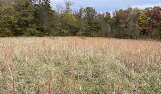 Photo #21 of 249 Union Chapel Road, Buffalo Junction, VA 47.8 acres