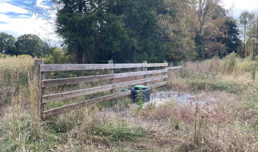 Photo #23 of 249 Union Chapel Road, Buffalo Junction, VA 47.8 acres