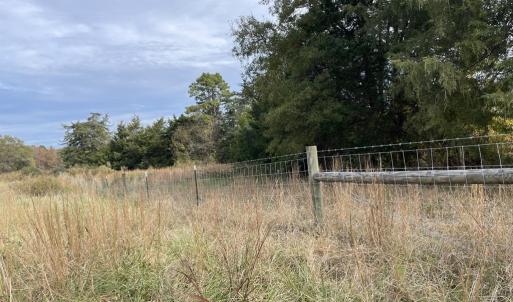 Photo #24 of 249 Union Chapel Road, Buffalo Junction, VA 47.8 acres