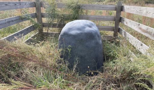 Photo #26 of 249 Union Chapel Road, Buffalo Junction, VA 47.8 acres