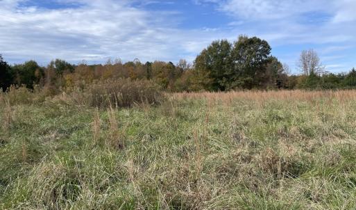 Photo #27 of 249 Union Chapel Road, Buffalo Junction, VA 47.8 acres